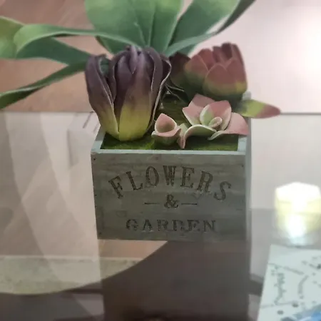 Mihal Popi Apartamento *